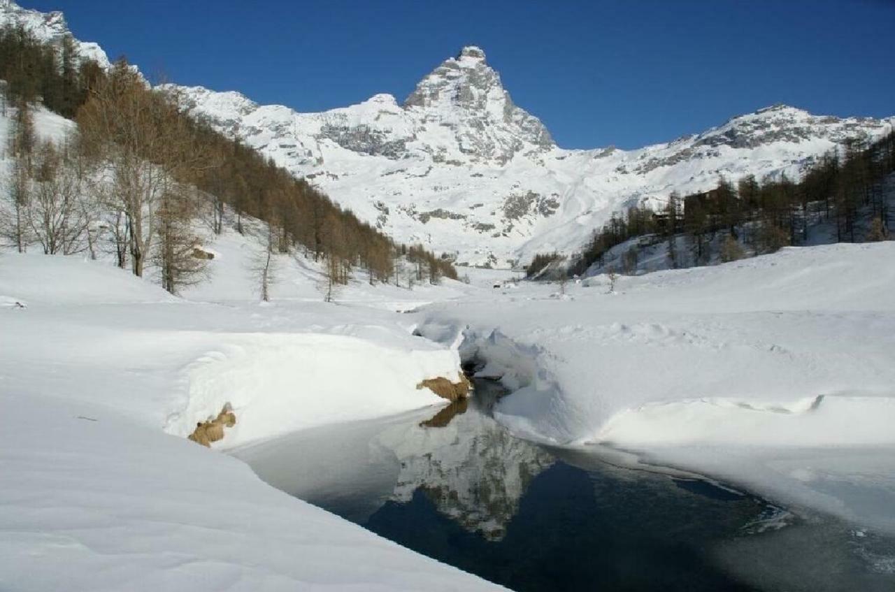 Cervinia Ski In Ski Out - Studio On The Slopes Breuil-Cervinia Dış mekan fotoğraf